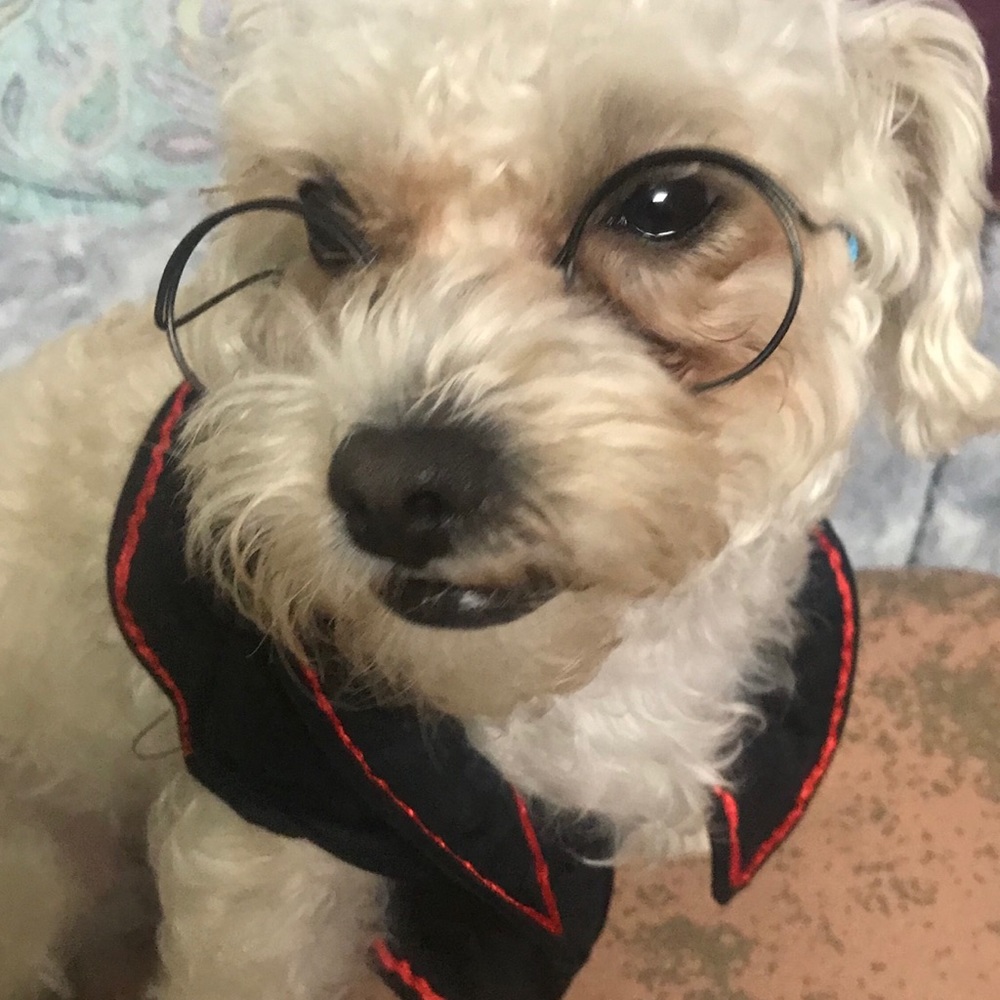 Meet your Posher, Phuong